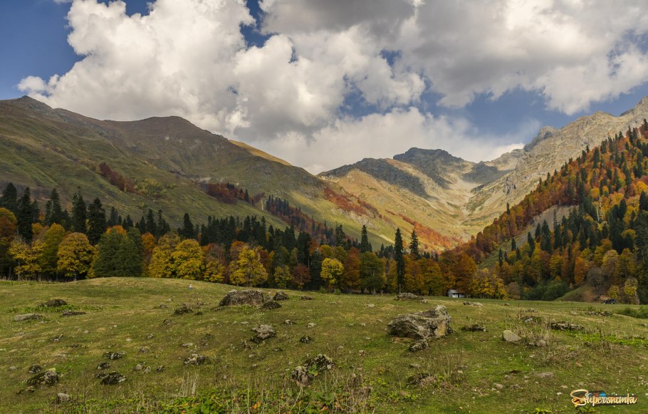 Абхазия горы Альпийские Луга