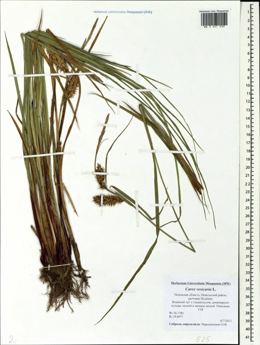 Предложение со словом вставать