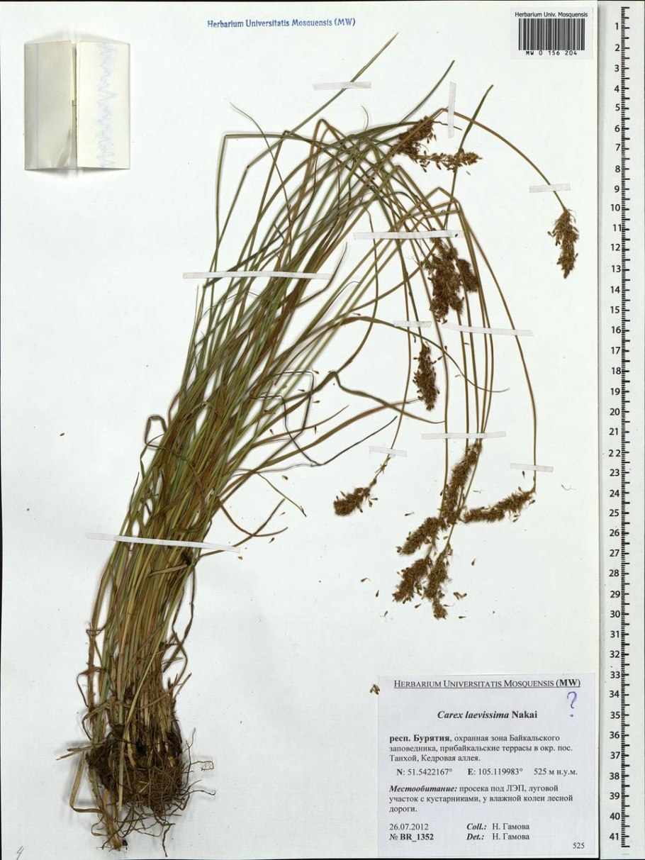 Озаглавить текст выпишите слова с пропущенными гласными