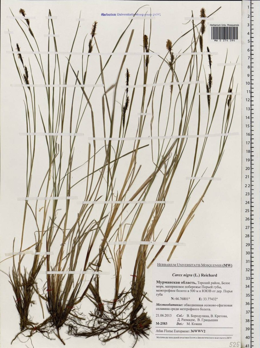 Прочитайте текст, озаглавьте его. Спишите, вставляя пропущенные буквы