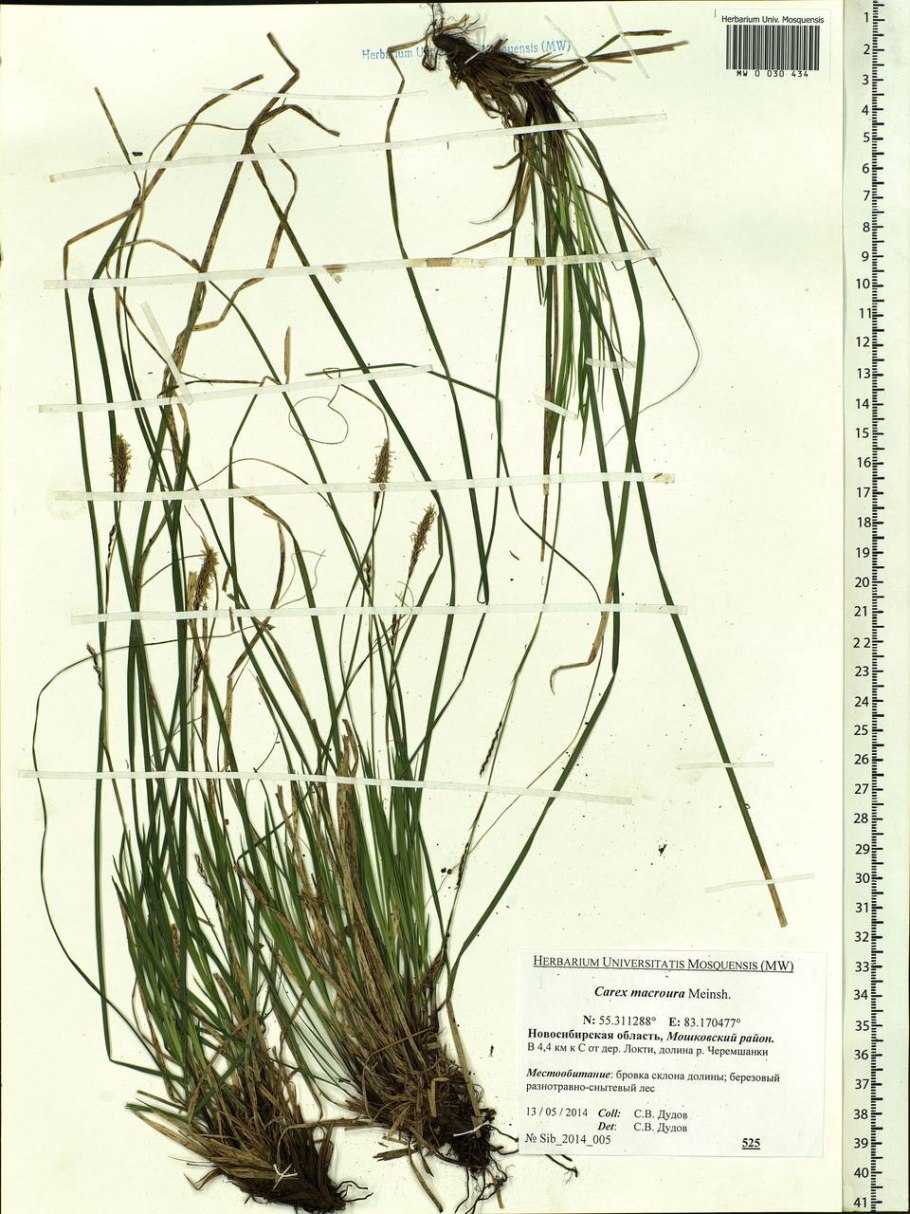 Прочитай вставь пропущенные буквы
