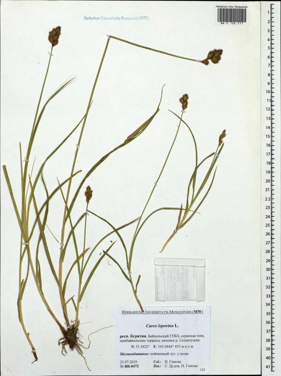 Группы родственных слов