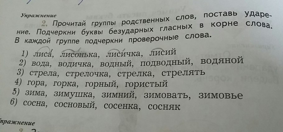 Осока обыкновенная схема