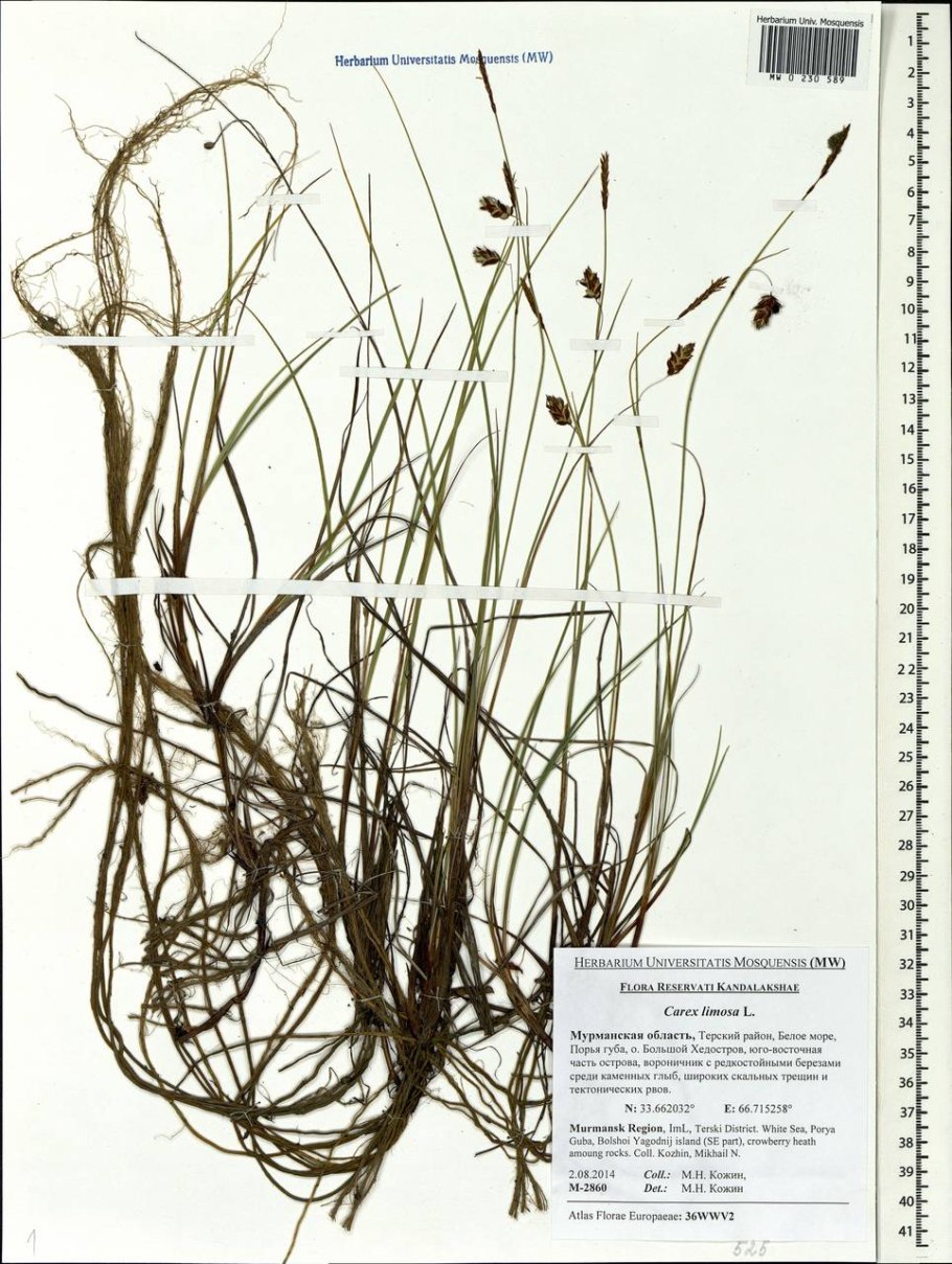 Спишите расставляя пропущенные буквы