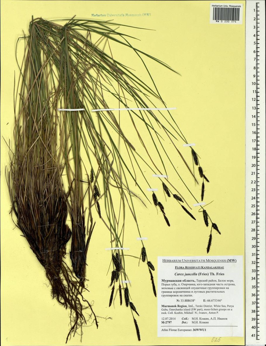 Вставь пропущенные буквы в скобках