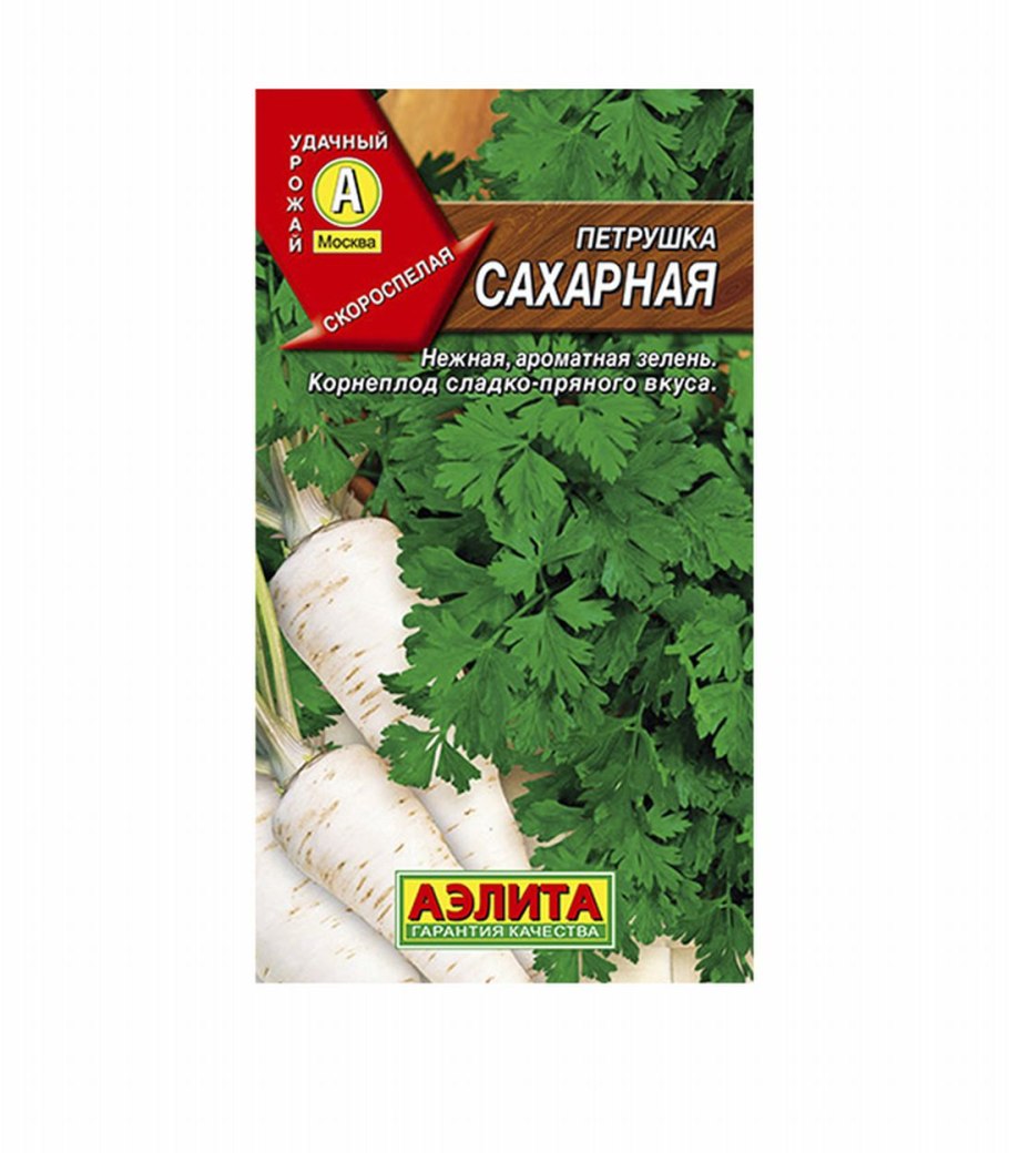 Петрушка корневая сахарная