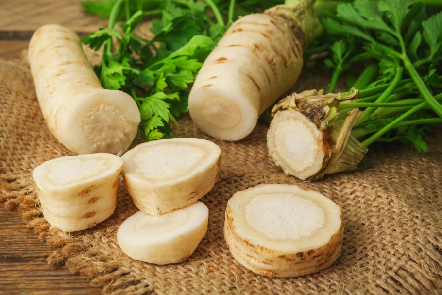 Петрушка корневая Урожайная