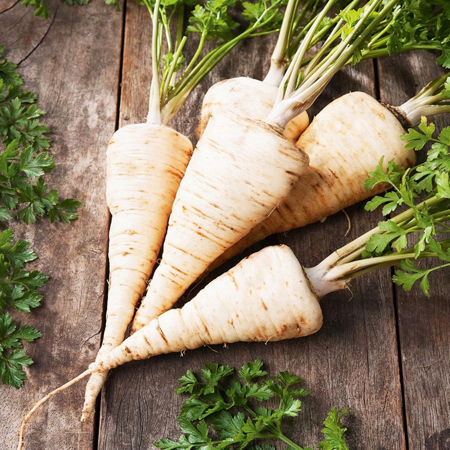 Петрушка корневая Алба