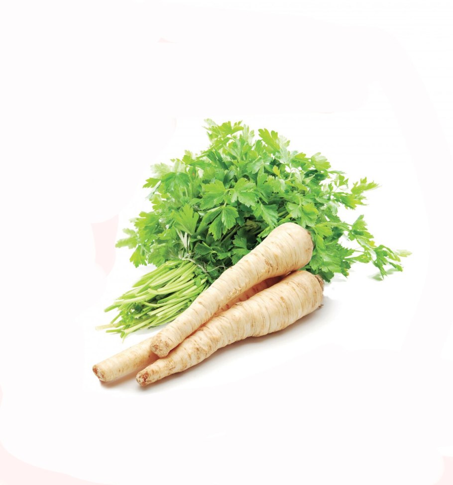 Коренья петрушки сельдерея Пастернака
