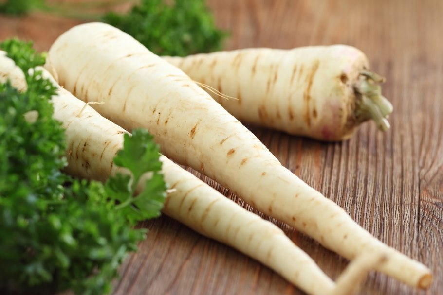 Пастернак овощ корень петрушки