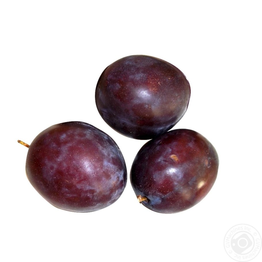 Слива венгерка Мичуринская