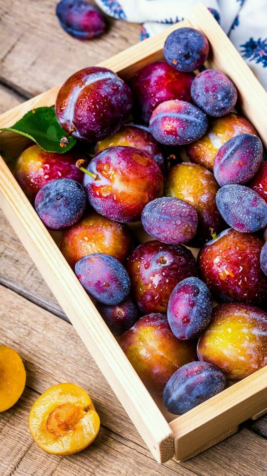 Слива венгерка