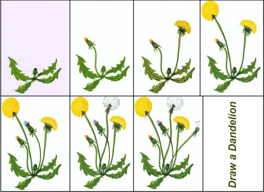 Качим Пинежский