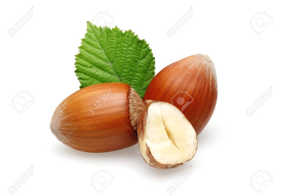 Лесной орех в Западной России