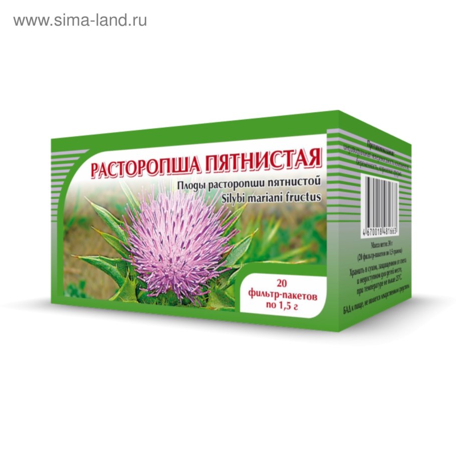 Чертополох обыкновенный