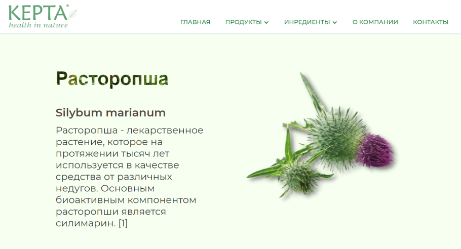 Репей чертополох Бодяк