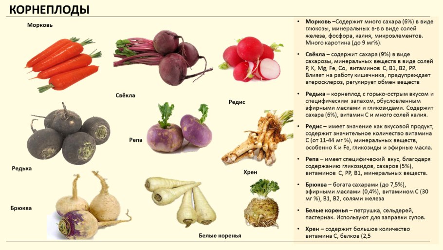 Овощи корнеплоды таблица