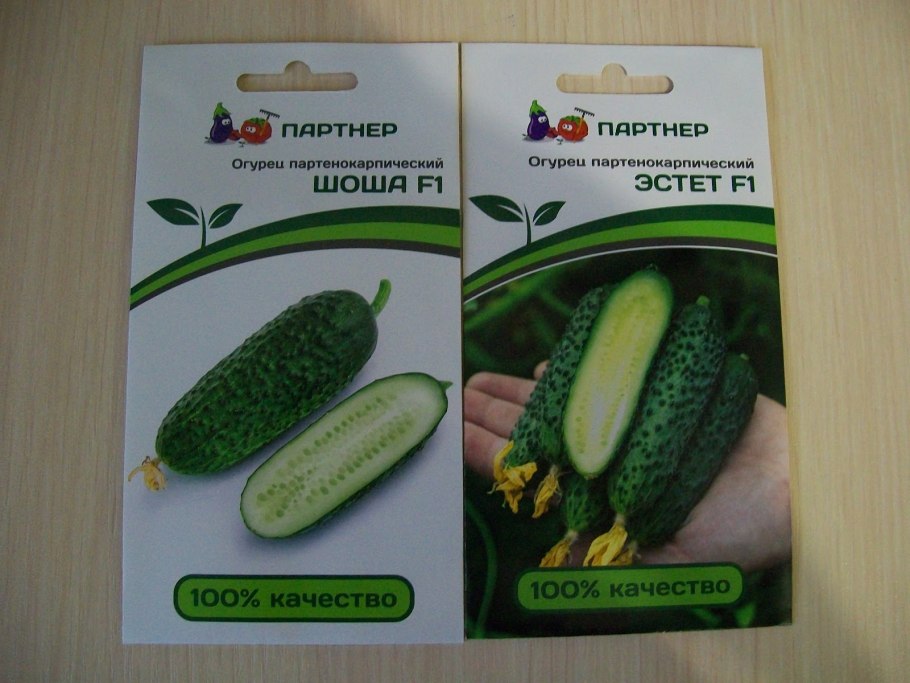 Огурец Спринтер f1