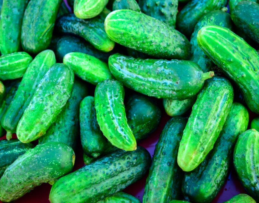 Агропартнер семена огурцов