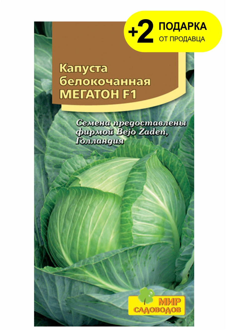 Капуста Мегатон