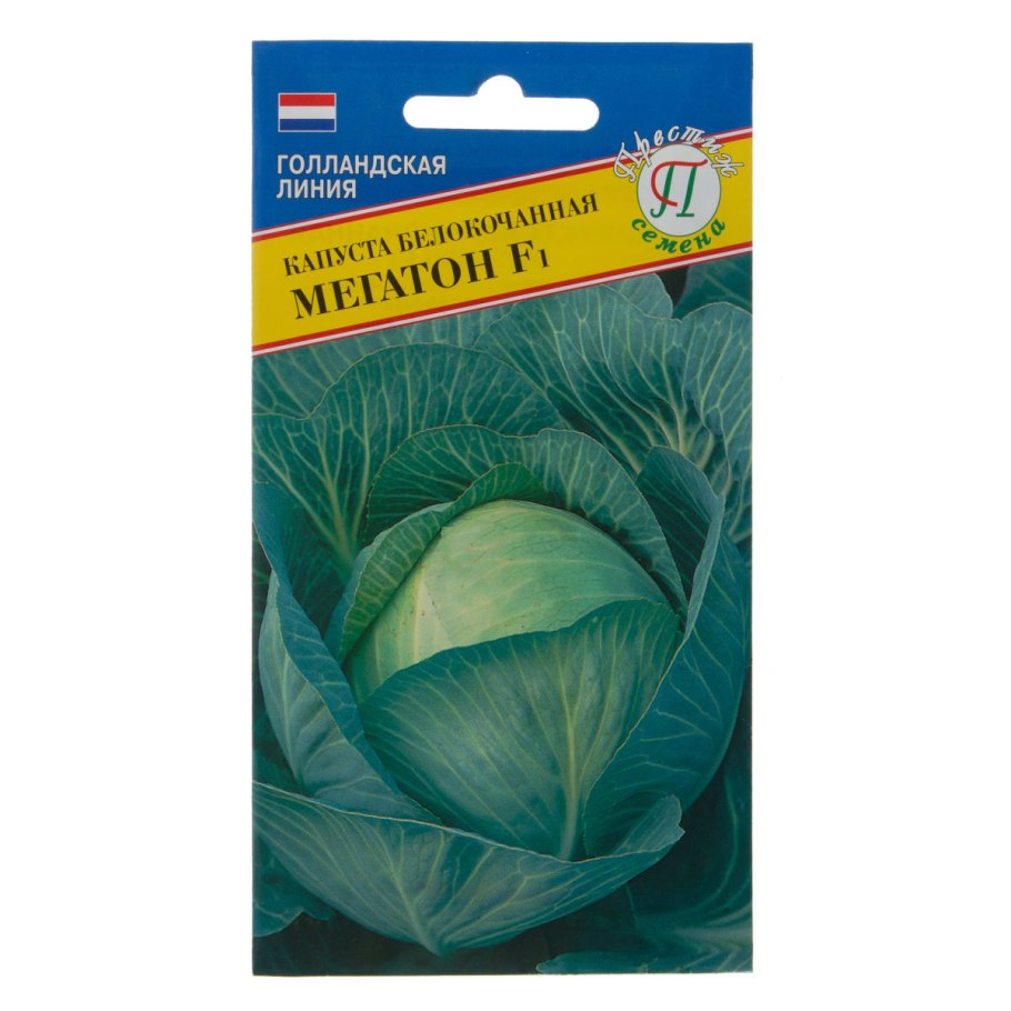 Капуста мегатон
