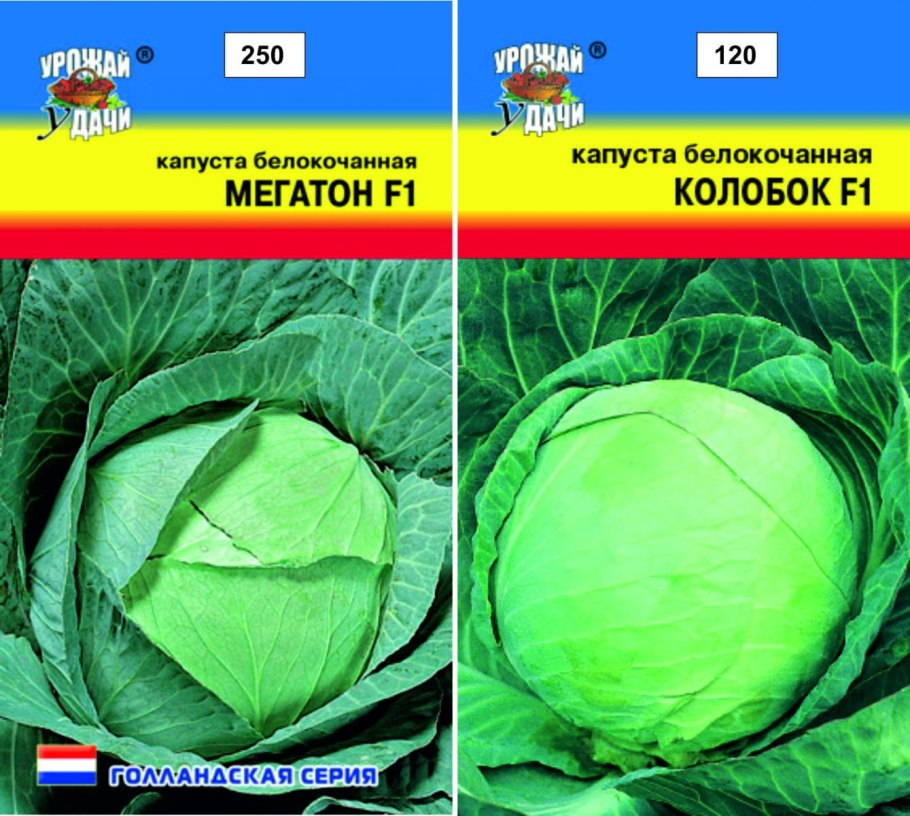 Капуста белокочанная Колобок f1