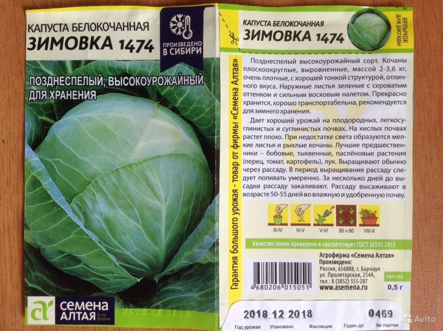 Капуста Мегатон f1 поставщик beio