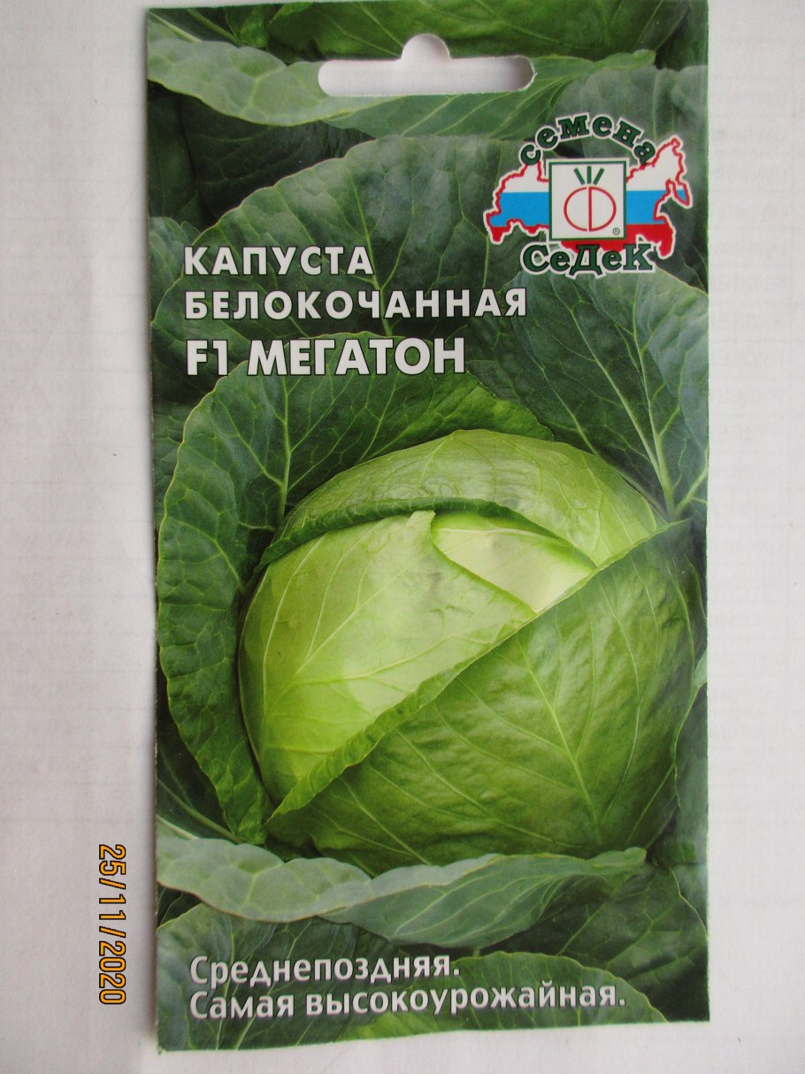 Капуста ранняя Мегатон