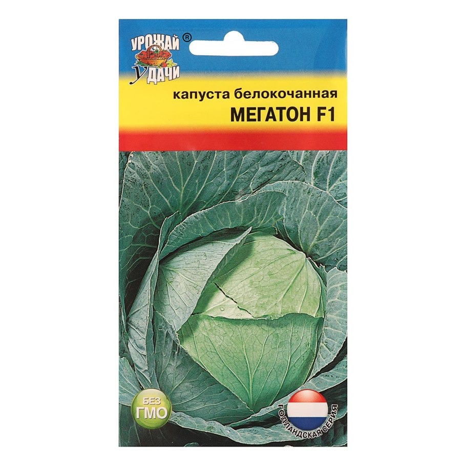 Семена партнер капуста Мегатон