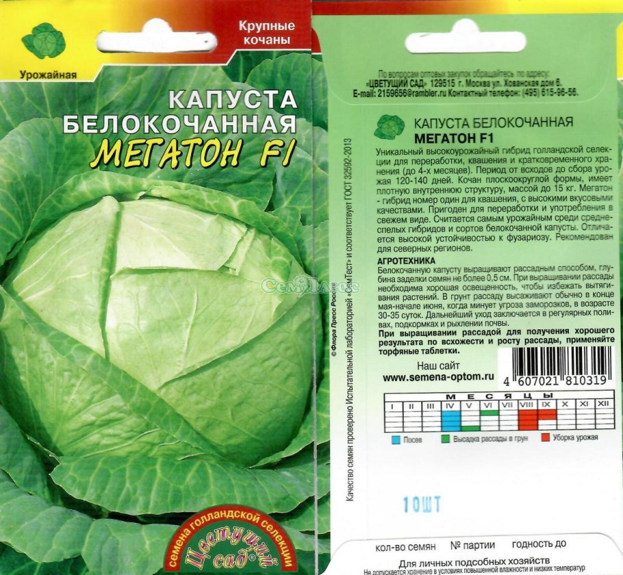 Капуста Мегатон Сибирский сад