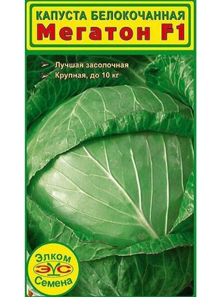 Тыква Мегатон