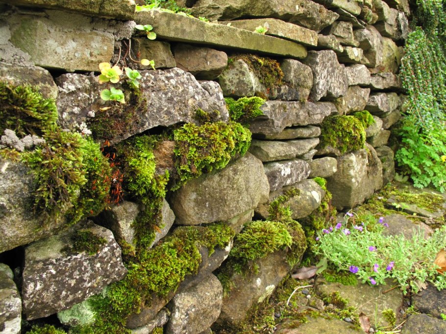 Сад Флетчер Мосс каменная стена