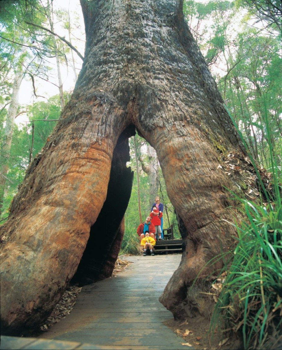 Национальный парк Уолпол-Норналап