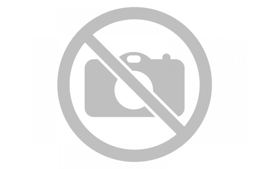 Тисс ягодный - Taxus baccata l