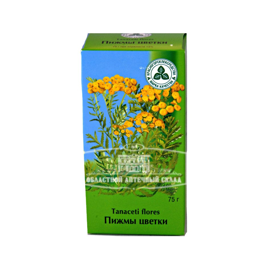 Бессмертник тысячелистник