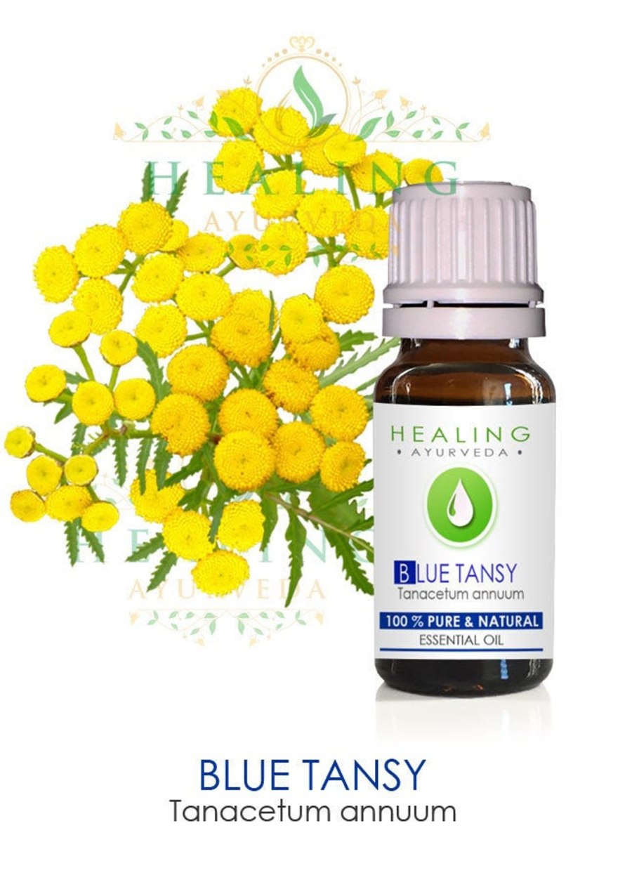 Пижма обыкновенная крестовник