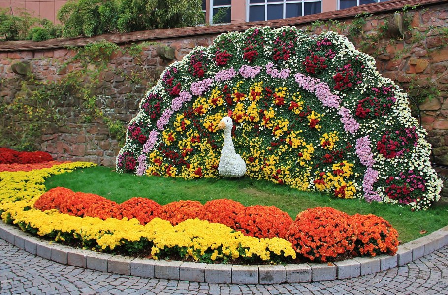 Дизайн клумбы своими руками