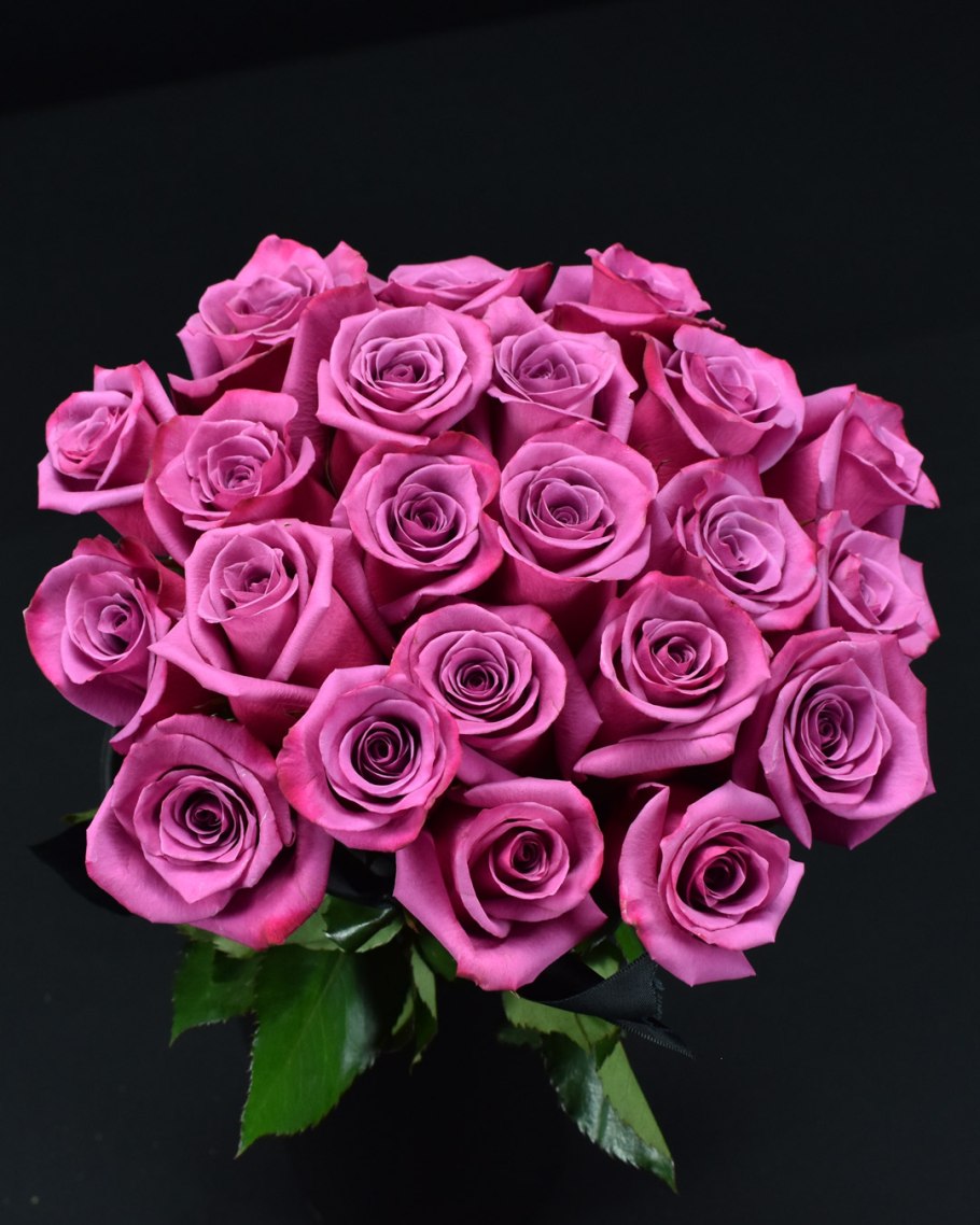 Плетистые розы Розариум Ютерсен