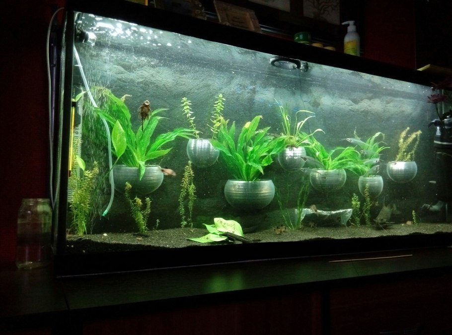 Растения в горшках в аквариуме