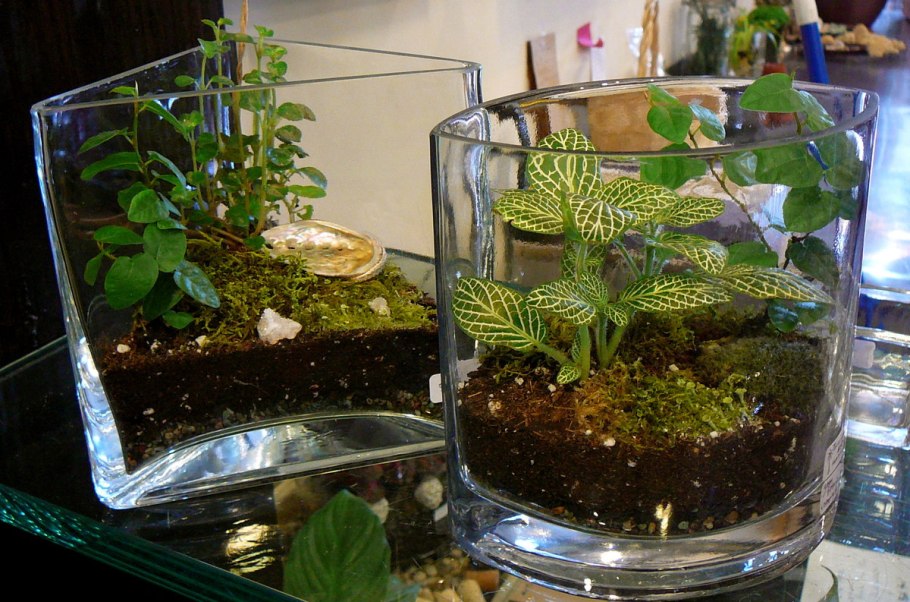 Листья деревьев в аквариуме