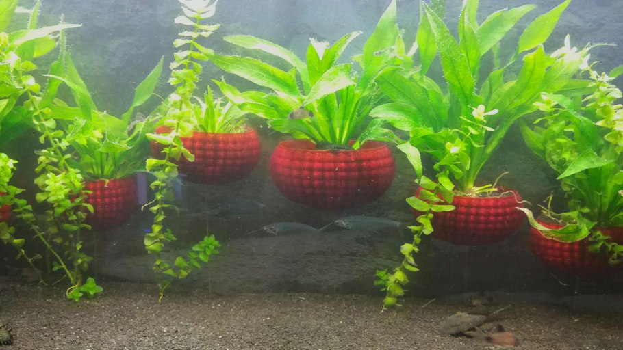 Горшочки для аквариумных растений