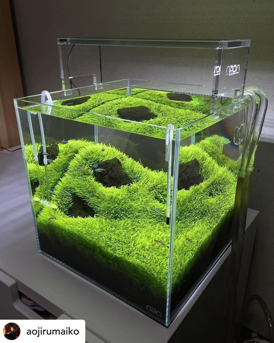 Настенный аквариум