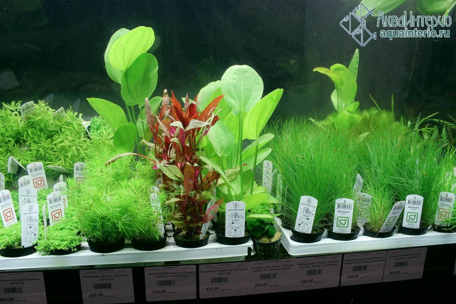 Aquascape скиммер BS 200/43020