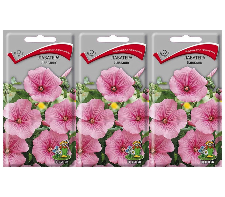 Петунья многолетний цветок