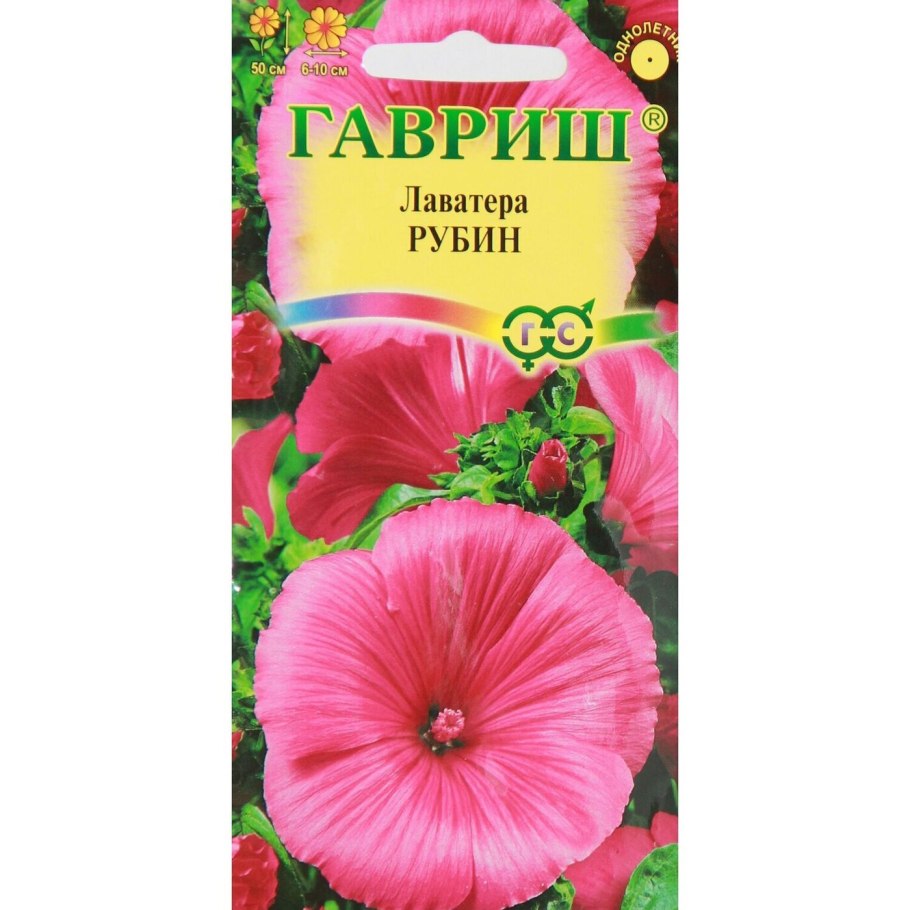 Лаватера монт Розе