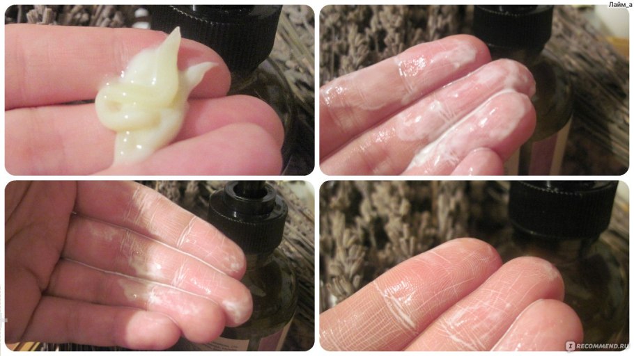 Мучнистая роса — Blumeria graminis