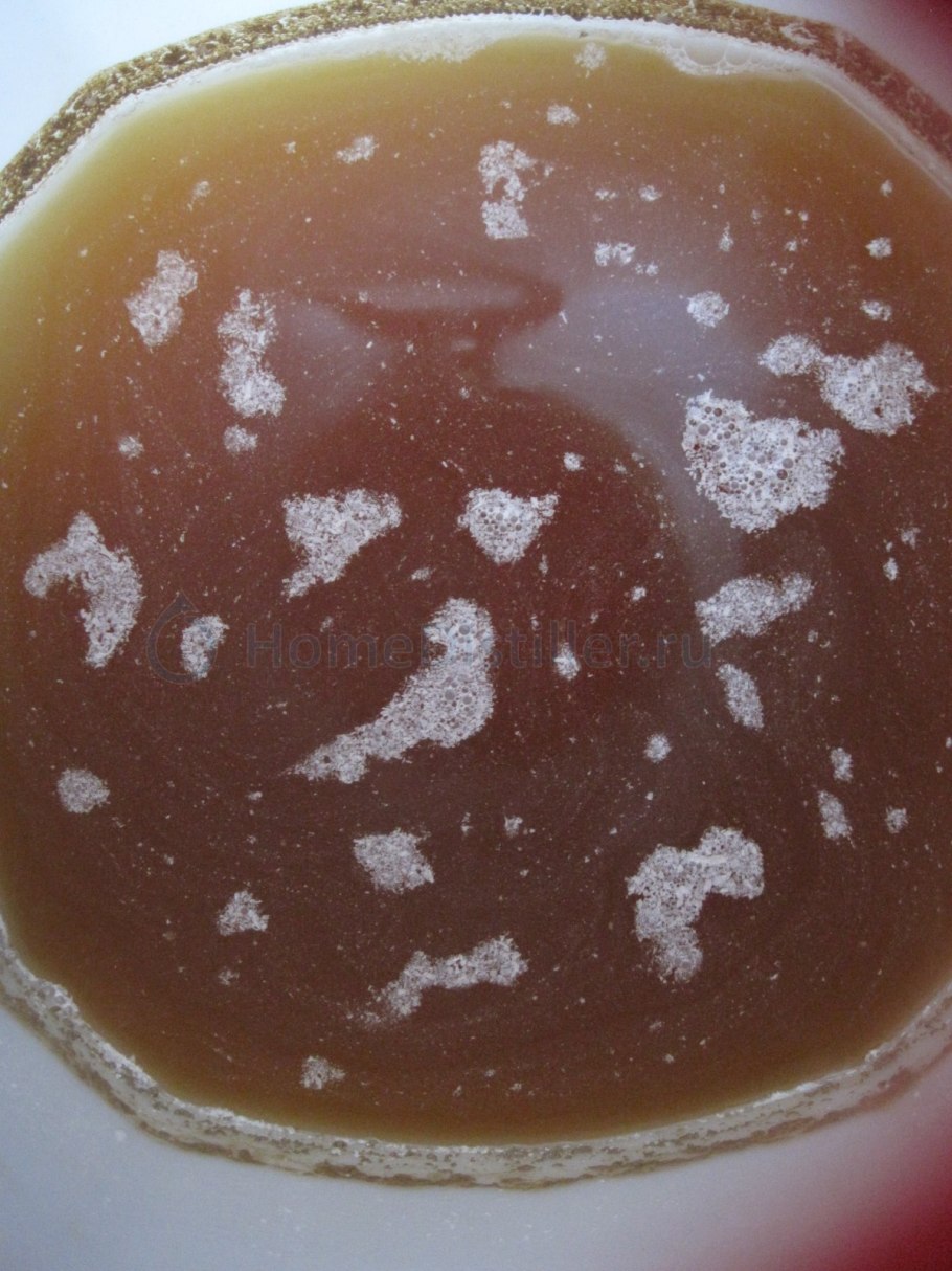 Мучнистый червец хамедорея