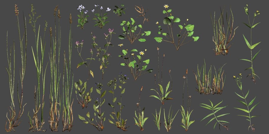 Трава референс концепт арт