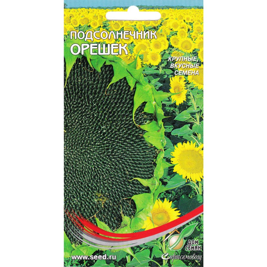 Белые семечки подсолнуха