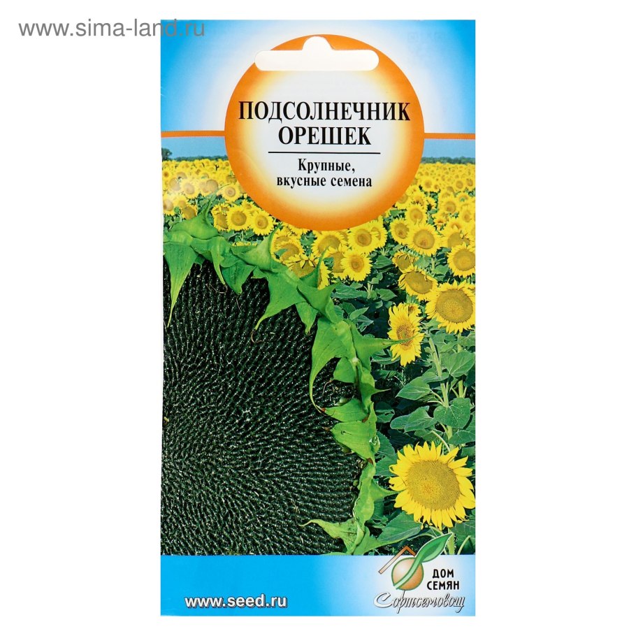 Семена подсолнечник орешек